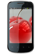 Best available price of Celkon A19 in Kosovo