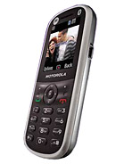 Best available price of Motorola WX288 in Kosovo